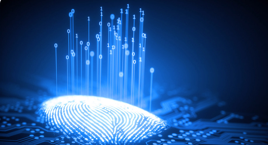 3118云顶集团·(中国区)官方网站